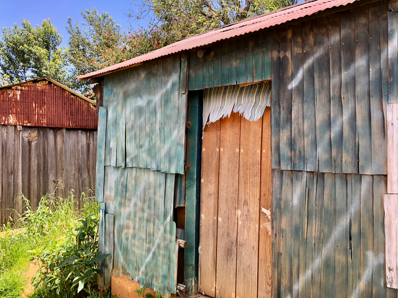 Weathered wooden shed with blue-tinted siding, a red metal roof, and a wooden door with colorful curtain